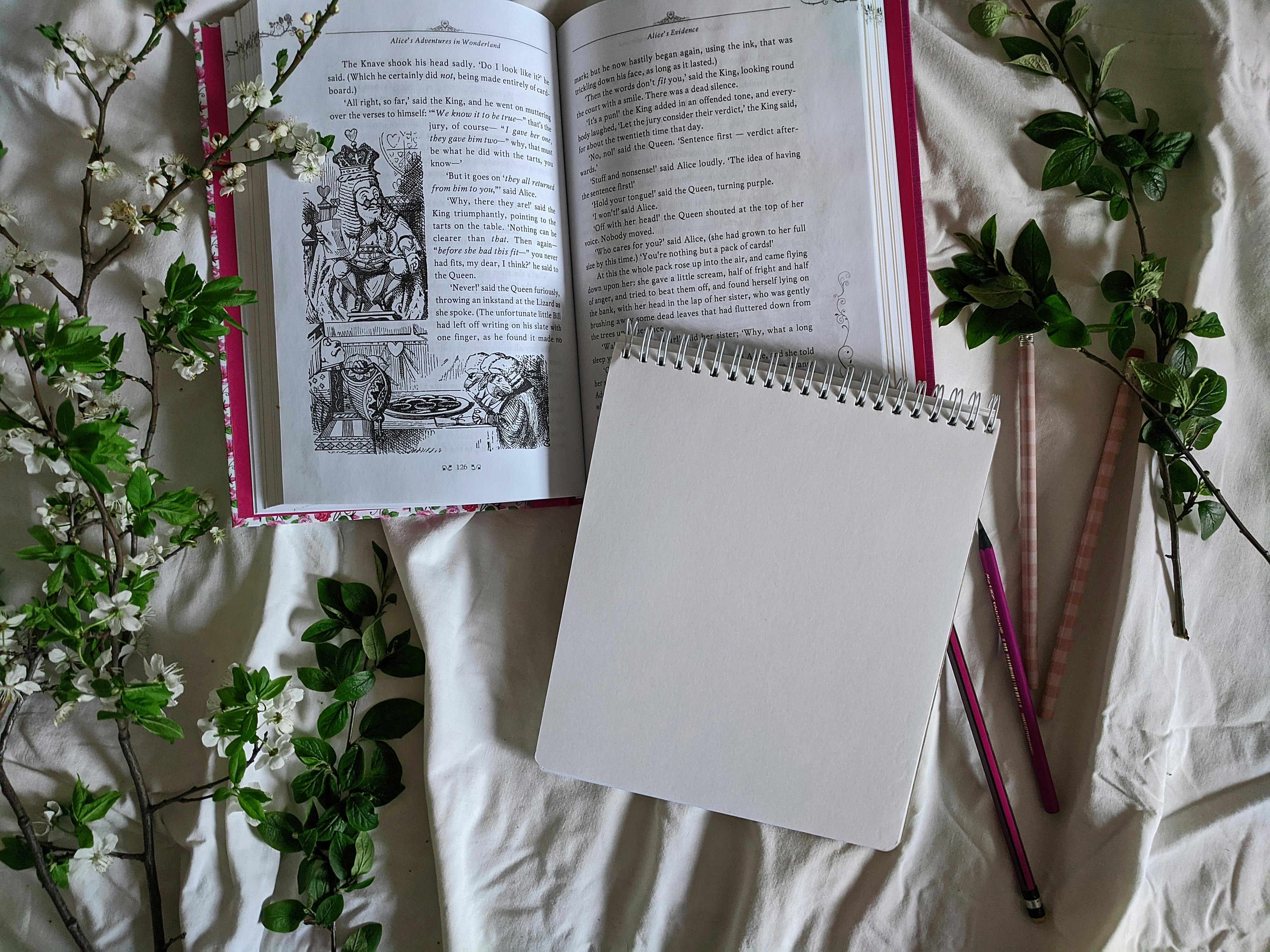 Lecture écriture livre